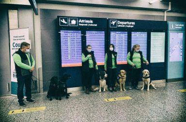 The only Covid-19 test you might actually like: corona-positive passengers at the Helsinki airport are detected by dogs