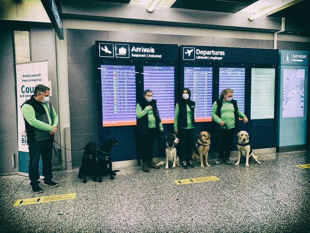 The only Covid-19 test you might actually like: corona-positive passengers at the Helsinki airport are detected by dogs