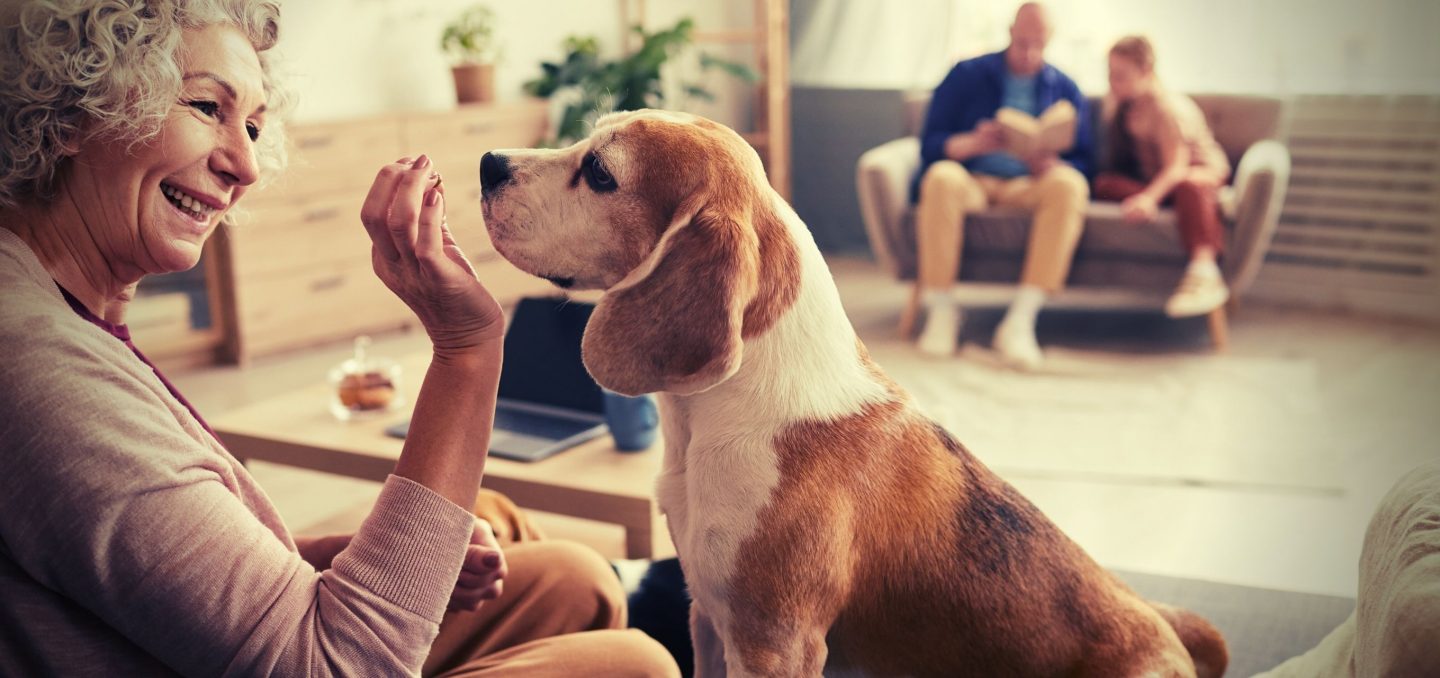 The Future of Pet Tech at CES 2024