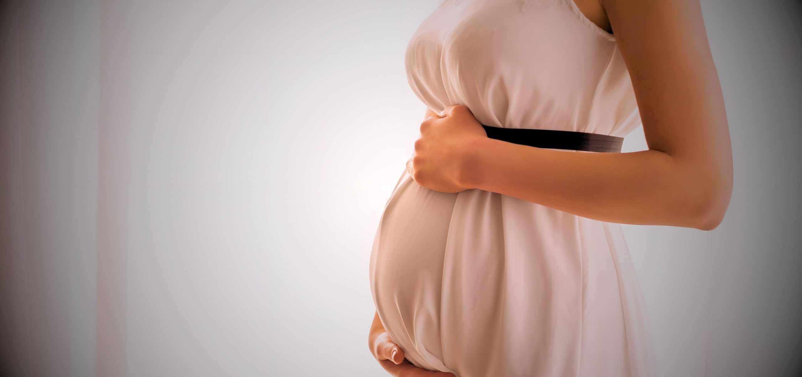 Harnessing Digital Twins for improved maternal health: a step towards ...